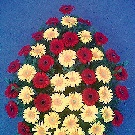 Coroana funerara 50 gerbere rosii si galbene
