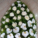 Coroana funerara 50 trandafiri albi si orhidee