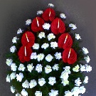 Coroana funerara 60 garoafe albe si anturium rosii