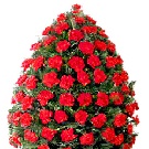 Coroana funerara 70 garoafe rosii