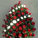 Coroana funerara 80 trandafiri rosii si albi