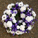 Coronita funerara 30 irisi albastri si gerbere, garoafe si crizanteme albe