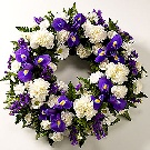 Coronita funerara 40 garoafe, crizanteme albe si irisi albastri
