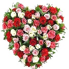 Inima funerara 60 trandafiri albi rosii si roz
