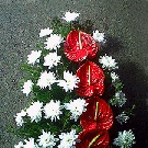Jerba funerara 30 crizanteme si anturium rosii