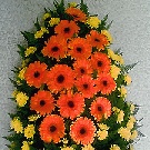 Jerba funerara 40 gerbere portocalii si crizanteme galbene